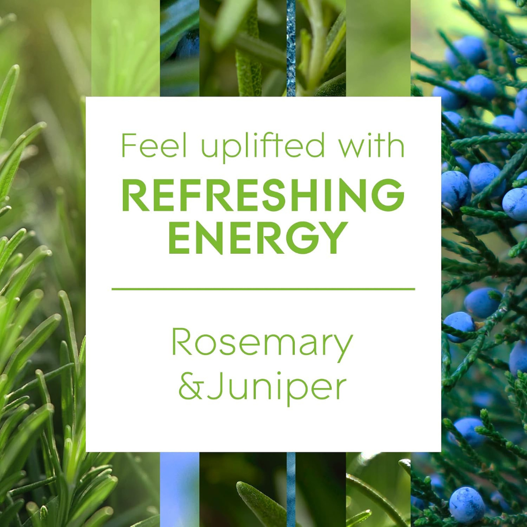 Glade Aromatherapy Reed Diffuser Refreshing Energy 80ml