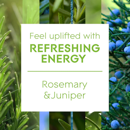 Glade Aromatherapy Reed Diffuser Refreshing Energy 80ml