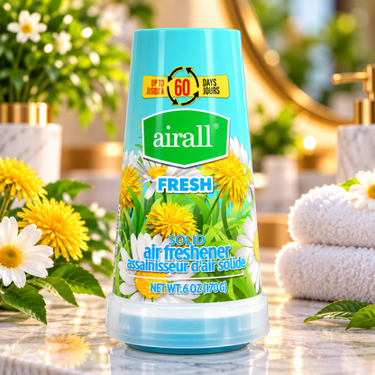 Airall Air Freshener Solid Fresh 170g