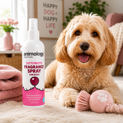 Animology Dog Essentials Tutti Frutti Fragrance Spray 250ml