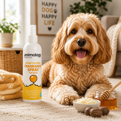Animology Dog Essentials Honey & Shea Fragrance Spray 250ml
