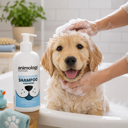 Animology Puppy Essentials Shampoo Baby Powder 500ml
