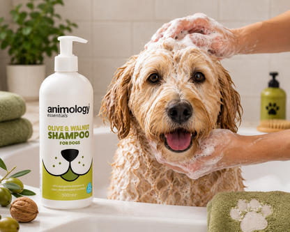 Animology Dog Essentials Shampoo Olive & Walnut 500ml