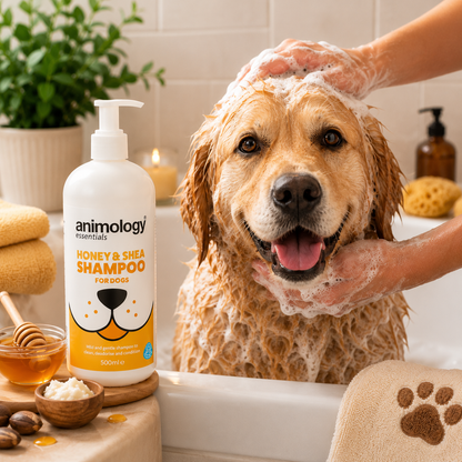 Animology Dog Essentials Shampoo Honey & Shea 500ml