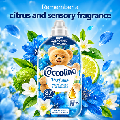 Coccolino Perfume Fabric Softener Campanula Selvatica & Bergamotto 87w