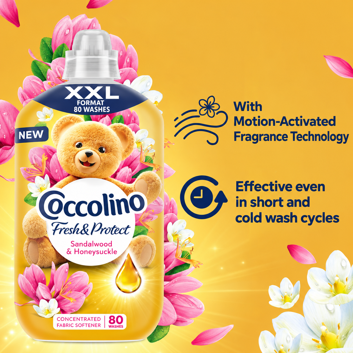 Coccolino Fresh & Protect Fabric Softener Sandalo & Caprifoglio 80w