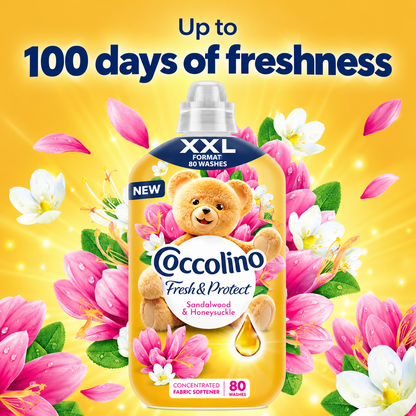 Coccolino Fresh & Protect Fabric Softener Sandalo & Caprifoglio 80w
