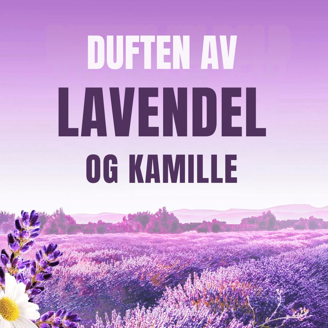 Lenor Fabric Softener Lavender & Camomile 50w 1.25L