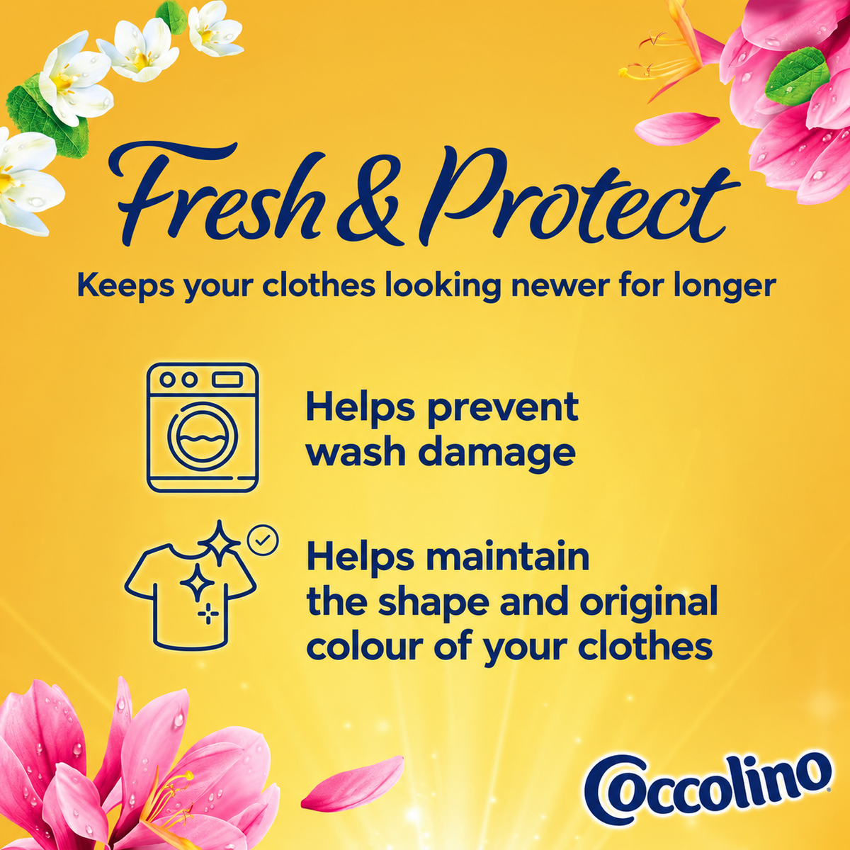 Coccolino Fresh & Protect Fabric Softener Sandalo & Caprifoglio 80w