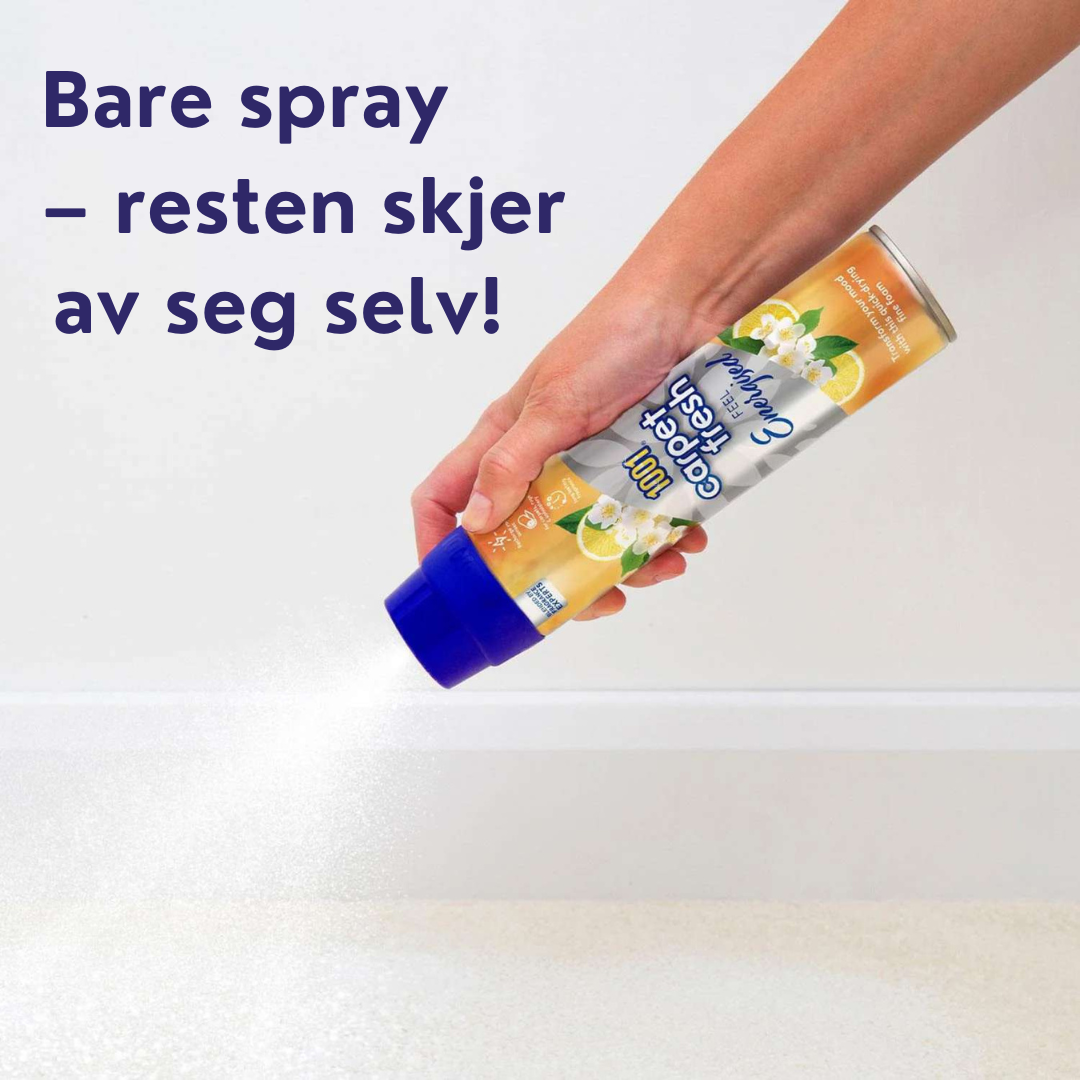 1001 Carpet Fresh Feel Energized 300ml